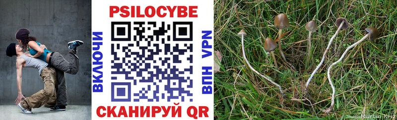 Галлюциногенные грибы Cubensis  где купить   Геленджик 