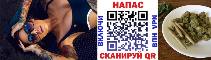 Канабис ГИДРОПОН Геленджик
